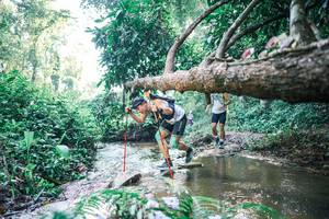 BIB: 
                            <button type="button" onclick="openModal(25434165)" class="btn btn-primary btn-sm float-right btn-popup" data-toggle="modal" data-target=".modal-high-quality">
                        <i class="fas fa-shopping-cart"></i> Add to Cart
                    </button>
                                            <button type="button" onclick="isThisMe(25434165, true)" class="btn btn-success btn-sm float-right btn-popup btn-isme hidden" data-toggle="tooltip" data-placement="bottom" title="นี่คือรูปของคุณใช่ไหม คลิกที่นี่เพื่อเอาเข้าอัลบั้ม">
                        <i class="fas fa-plus"></i> Add to album
                    </button>
                    <button type="button" onclick="isThisMe(25434165, false)" class="btn btn-warning btn-sm float-right btn-popup btn-isnotme hidden">
                        <i class="fas fa-ban"></i> Remove from album
                    </button>